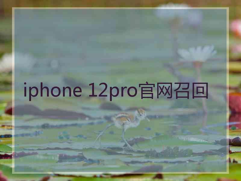 iphone 12pro官网召回