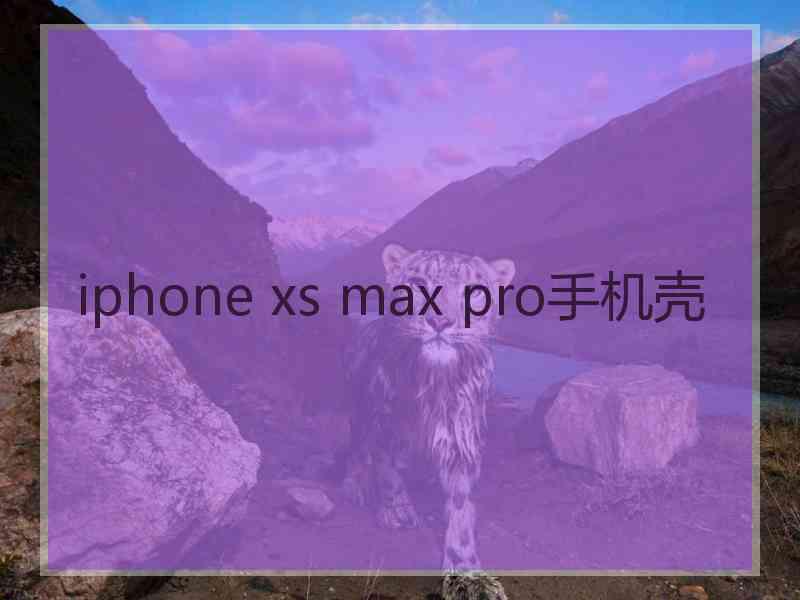 iphone xs max pro手机壳