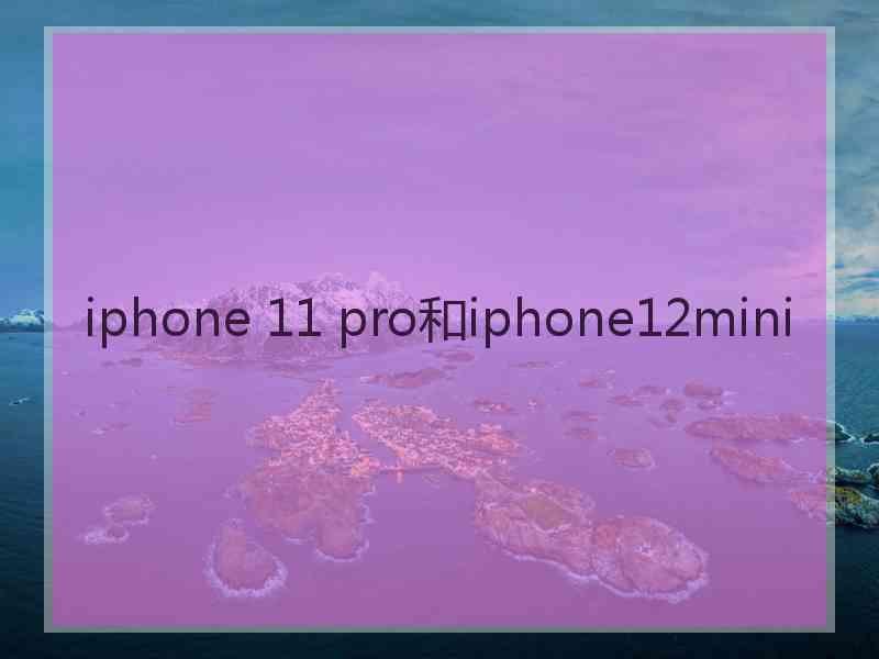 iphone 11 pro和iphone12mini