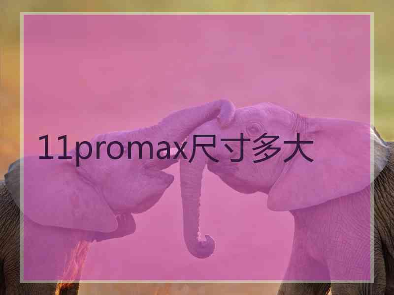 11promax尺寸多大