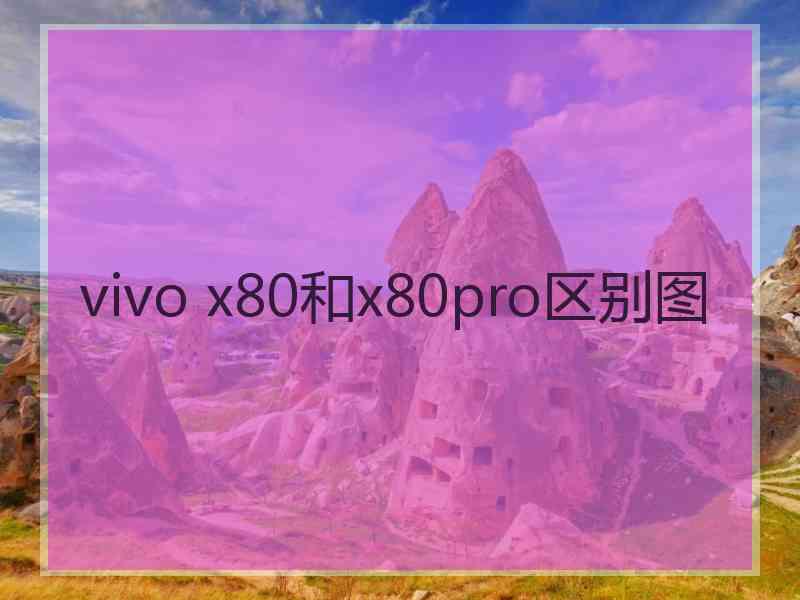 vivo x80和x80pro区别图