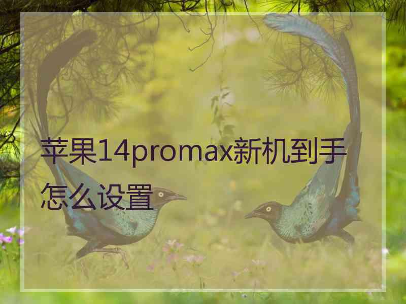 苹果14promax新机到手怎么设置