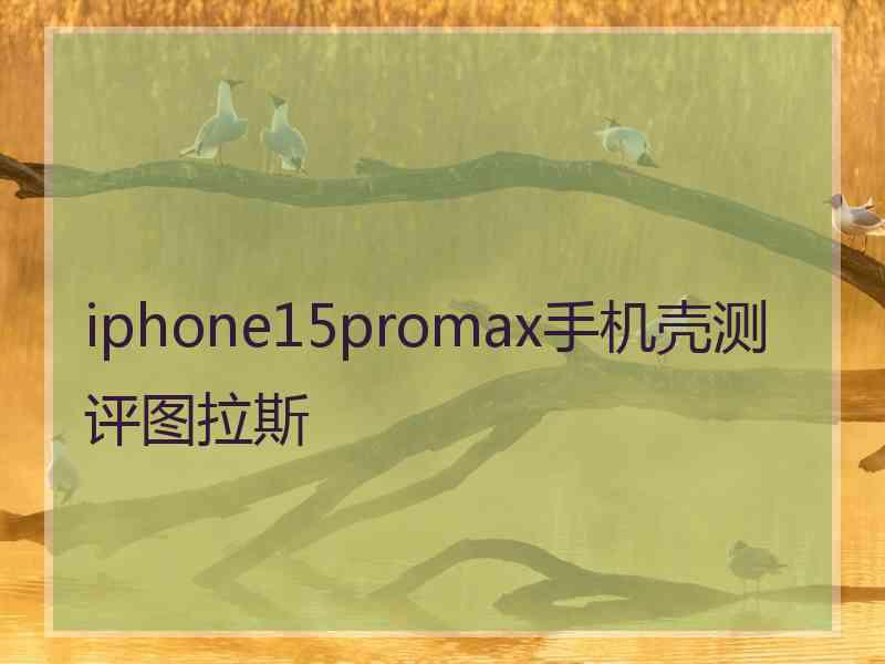 iphone15promax手机壳测评图拉斯