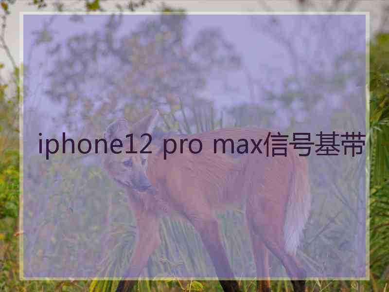 iphone12 pro max信号基带