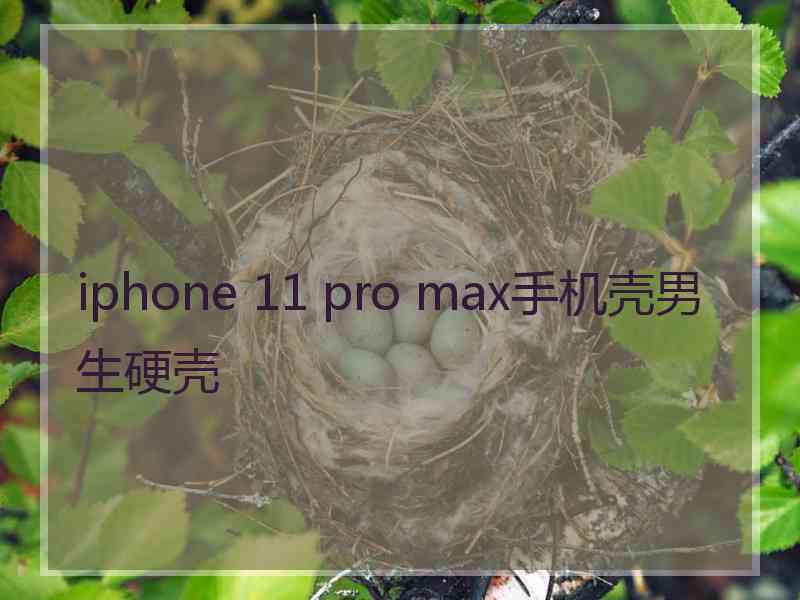 iphone 11 pro max手机壳男生硬壳