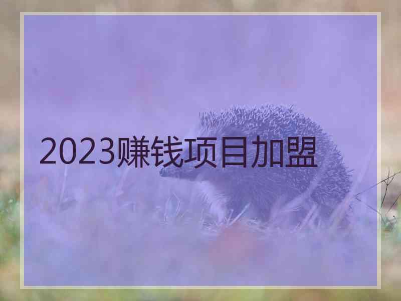 2023赚钱项目加盟