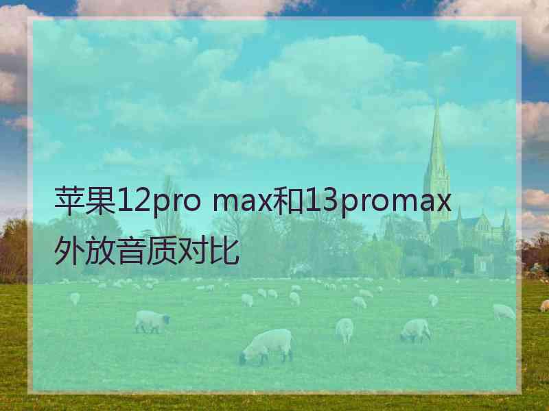 苹果12pro max和13promax外放音质对比