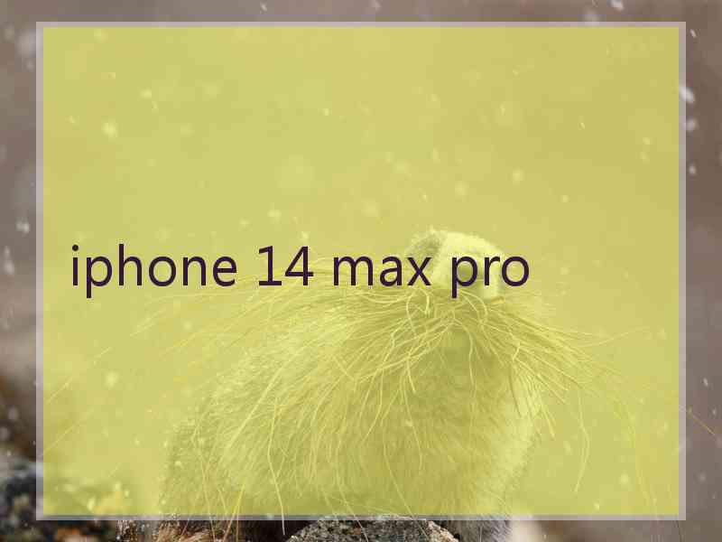 iphone 14 max pro