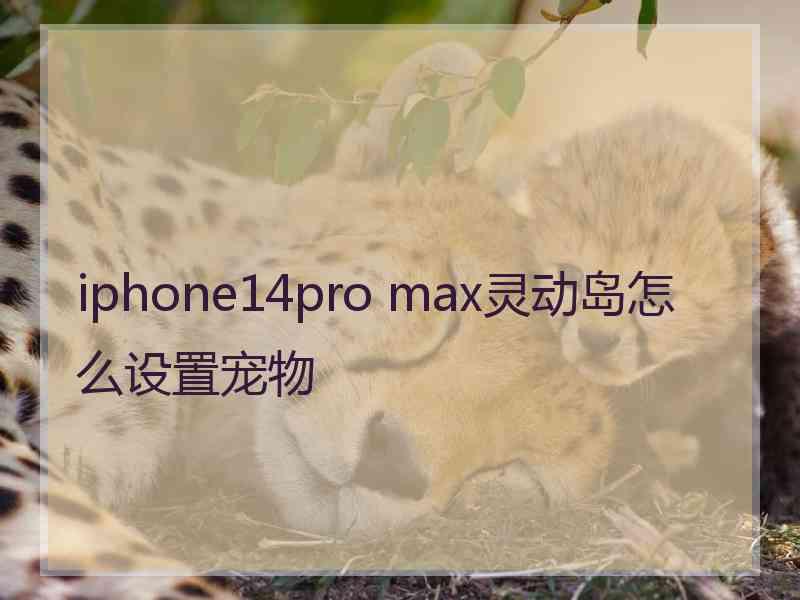 iphone14pro max灵动岛怎么设置宠物