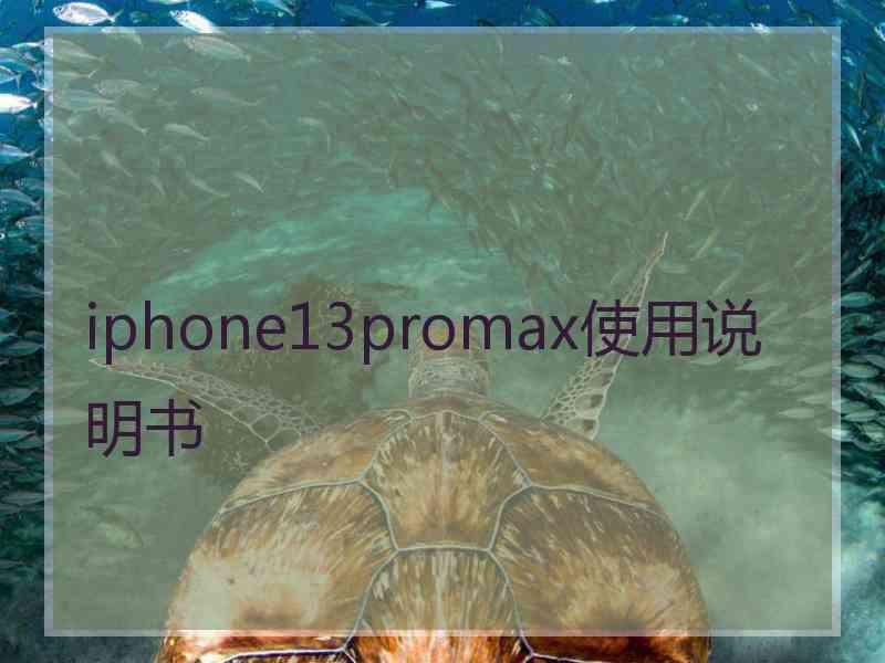 iphone13promax使用说明书