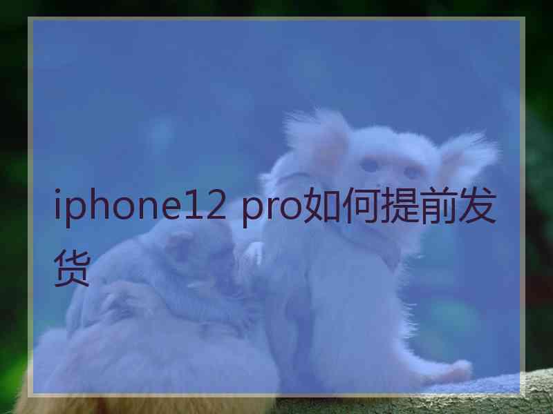 iphone12 pro如何提前发货