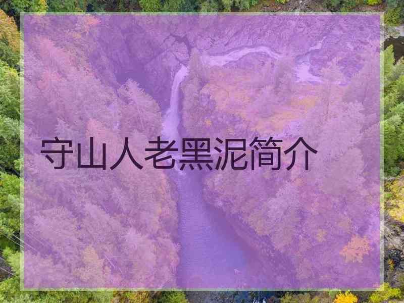 守山人老黑泥简介