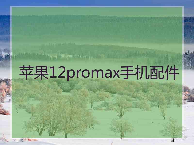 苹果12promax手机配件