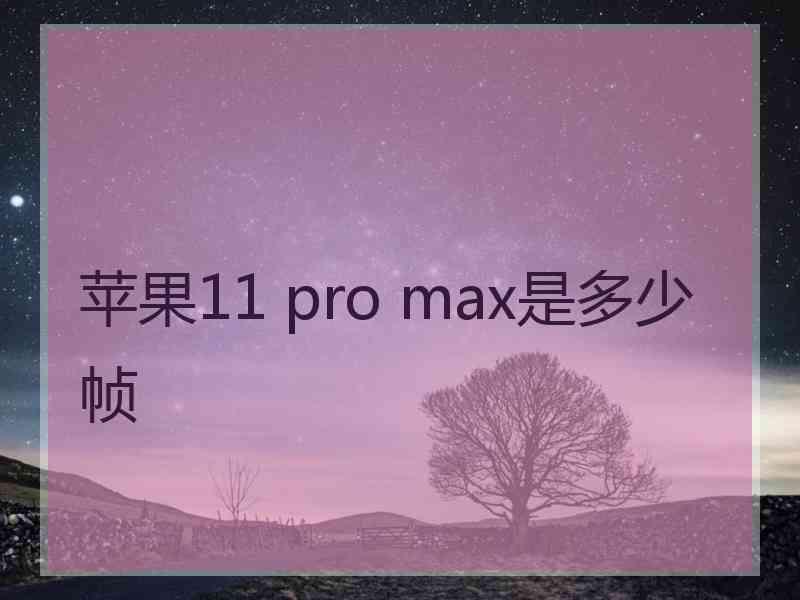 苹果11 pro max是多少帧