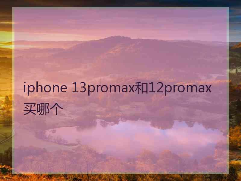 iphone 13promax和12promax买哪个