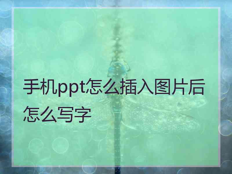 手机ppt怎么插入图片后怎么写字