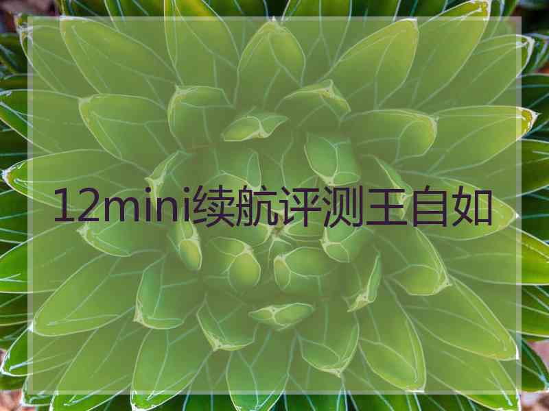 12mini续航评测王自如