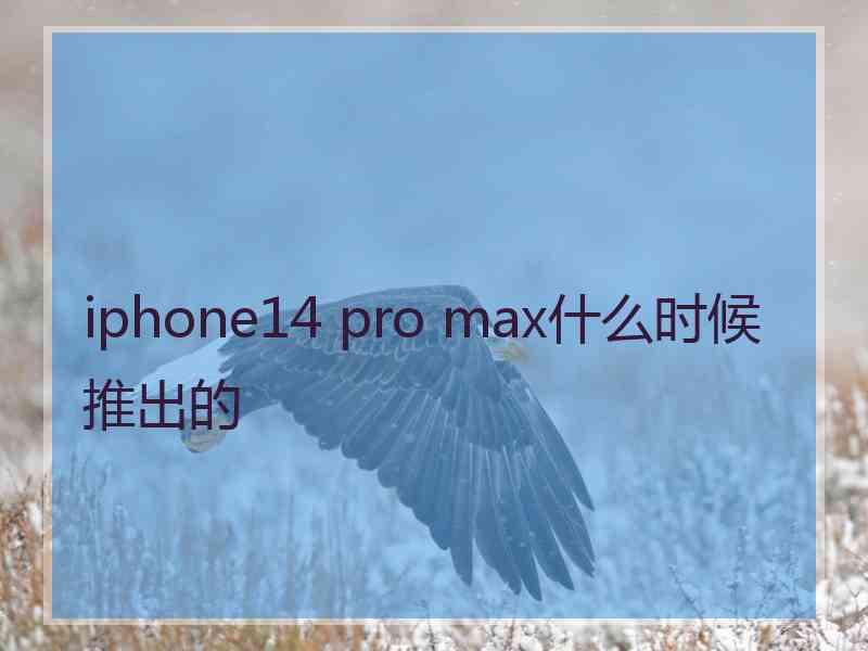 iphone14 pro max什么时候推出的