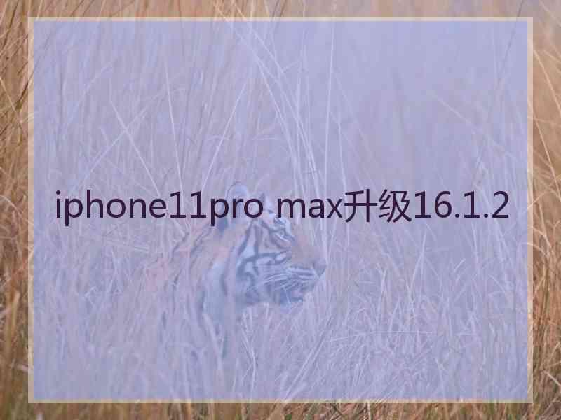 iphone11pro max升级16.1.2