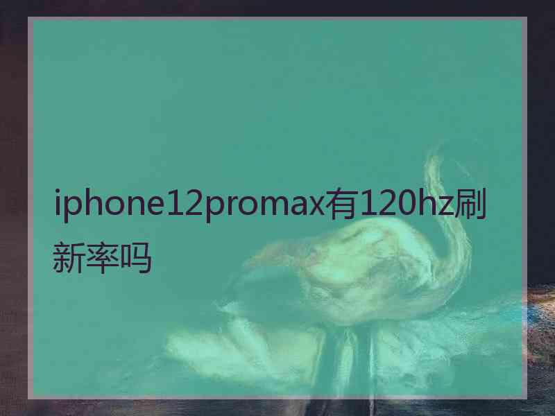 iphone12promax有120hz刷新率吗