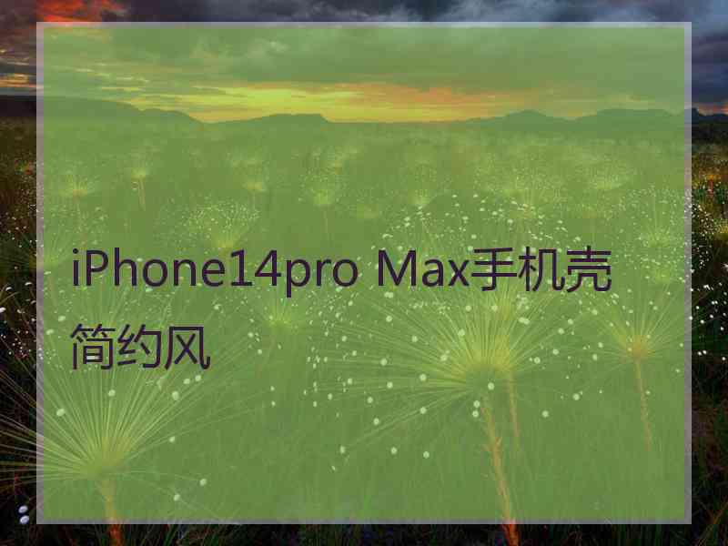 iPhone14pro Max手机壳简约风