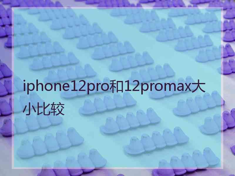 iphone12pro和12promax大小比较