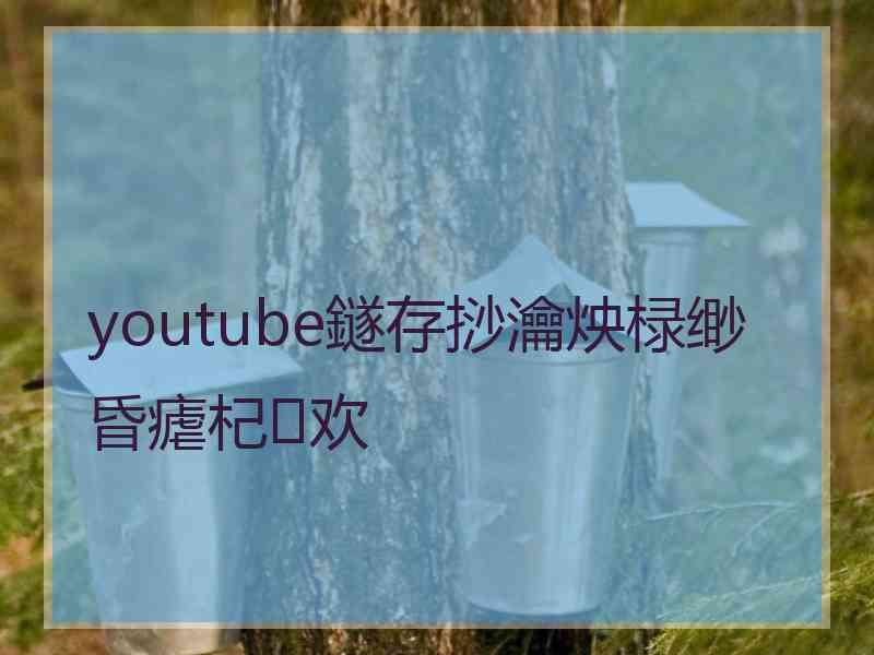 youtube鐩存挱瀹炴椂缈昏瘧杞欢