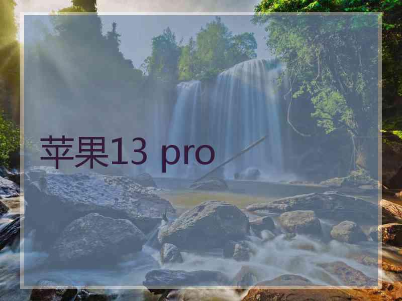 苹果13 pro