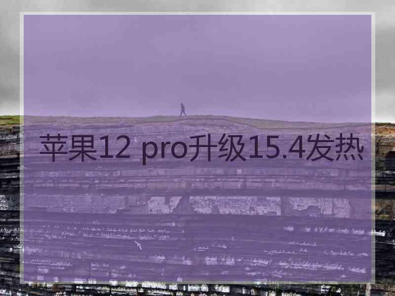 苹果12 pro升级15.4发热