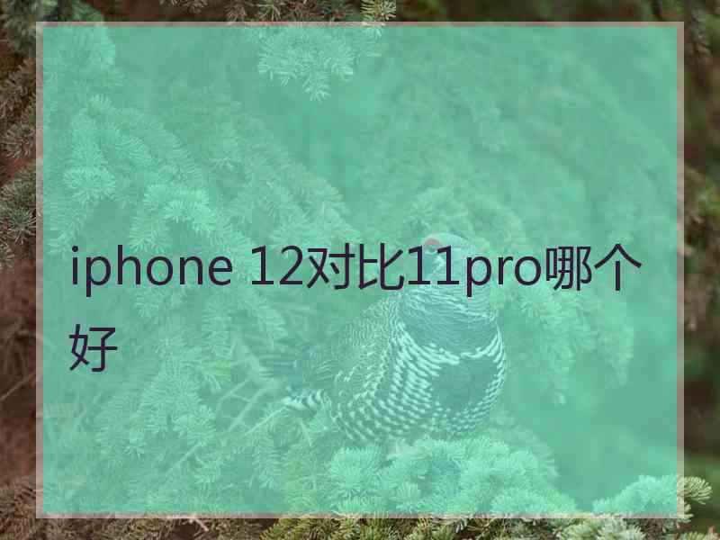 iphone 12对比11pro哪个好