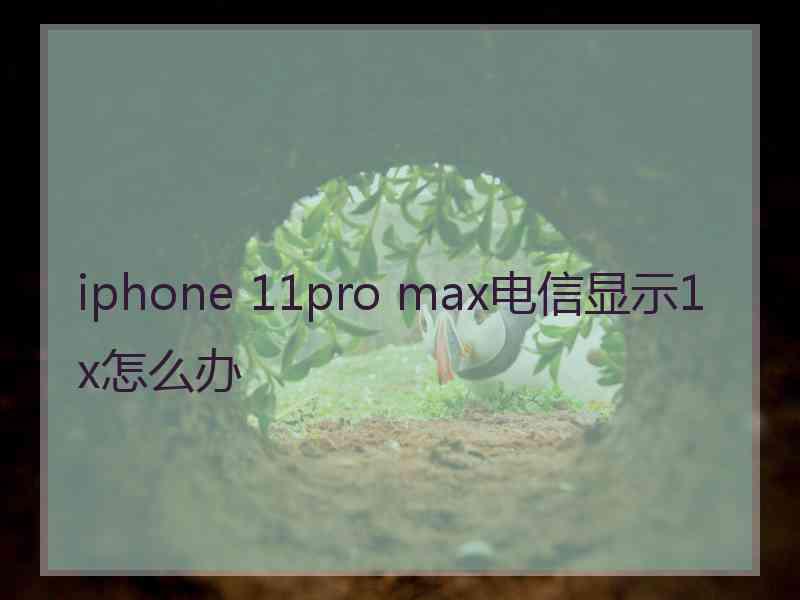 iphone 11pro max电信显示1x怎么办