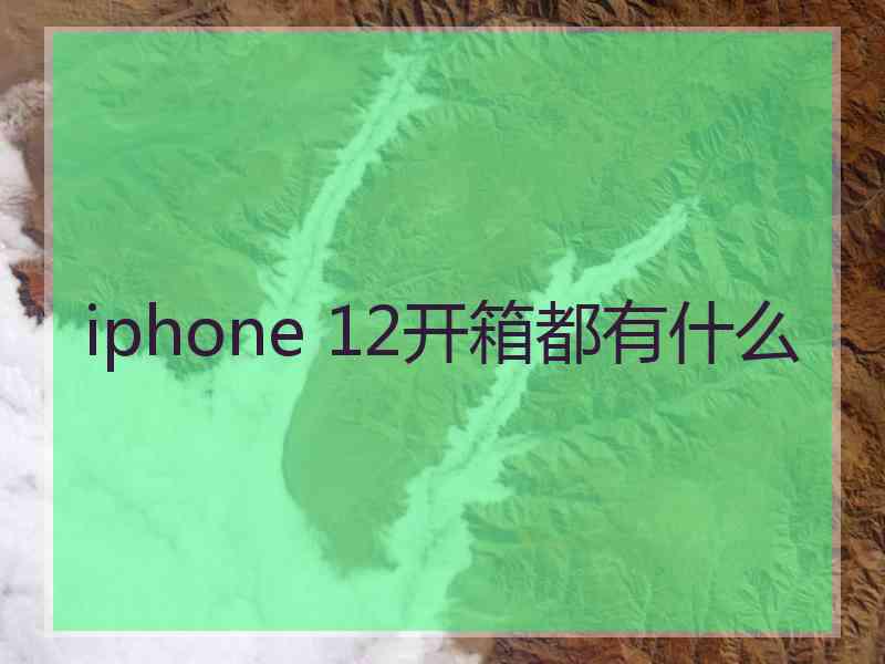 iphone 12开箱都有什么