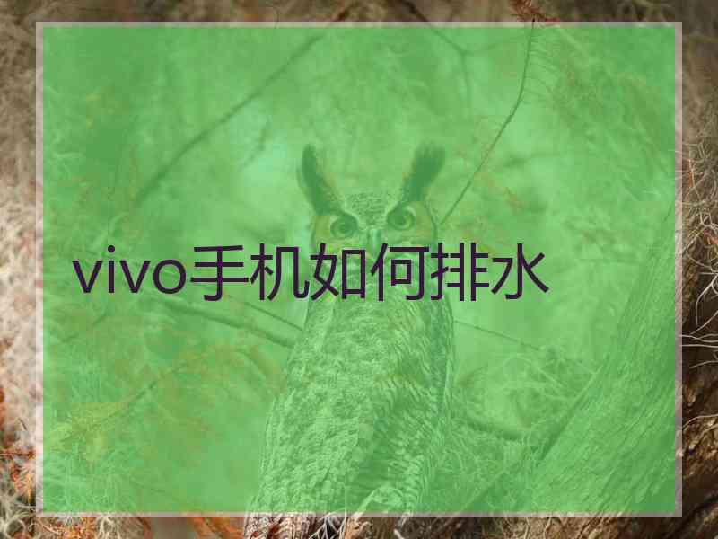 vivo手机如何排水