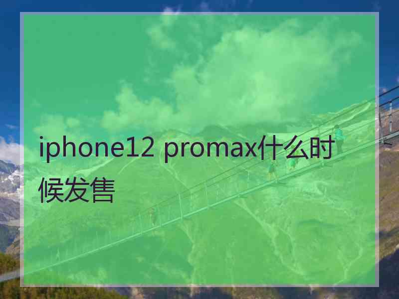 iphone12 promax什么时候发售