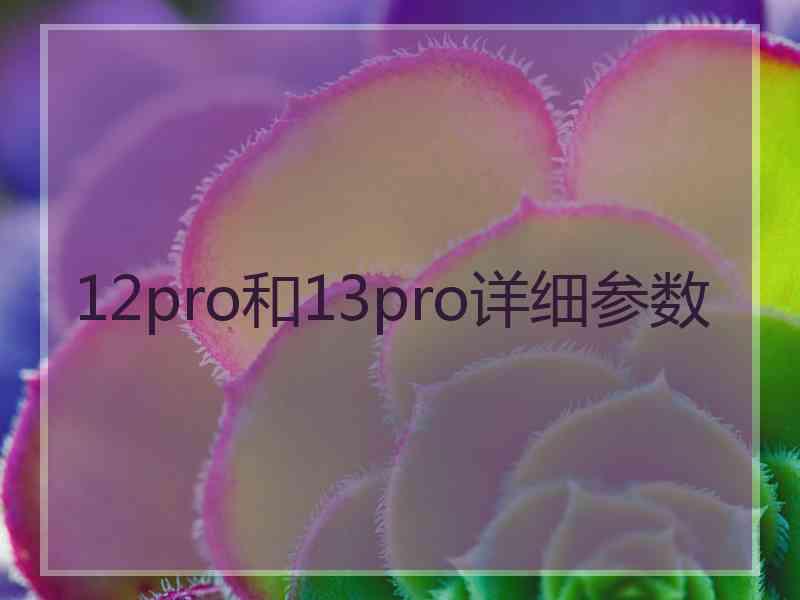 12pro和13pro详细参数