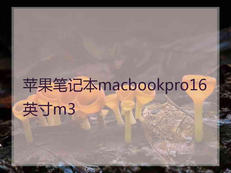 苹果笔记本macbookpro16英寸m3