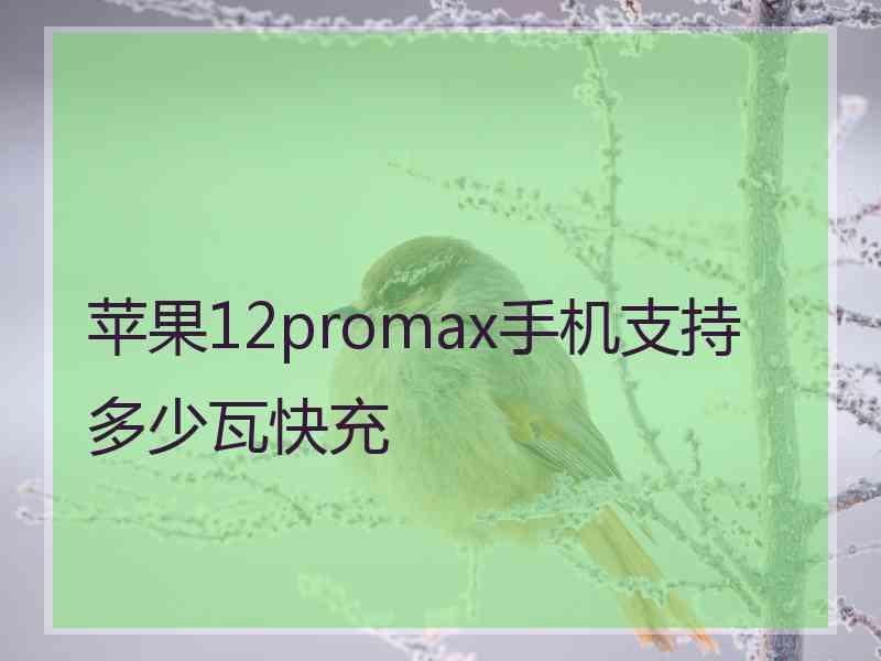 苹果12promax手机支持多少瓦快充