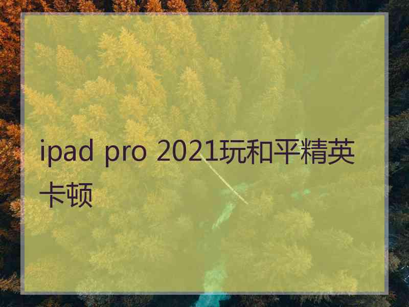 ipad pro 2021玩和平精英卡顿