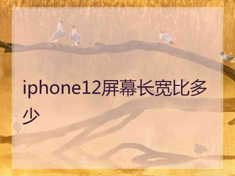 iphone12屏幕长宽比多少