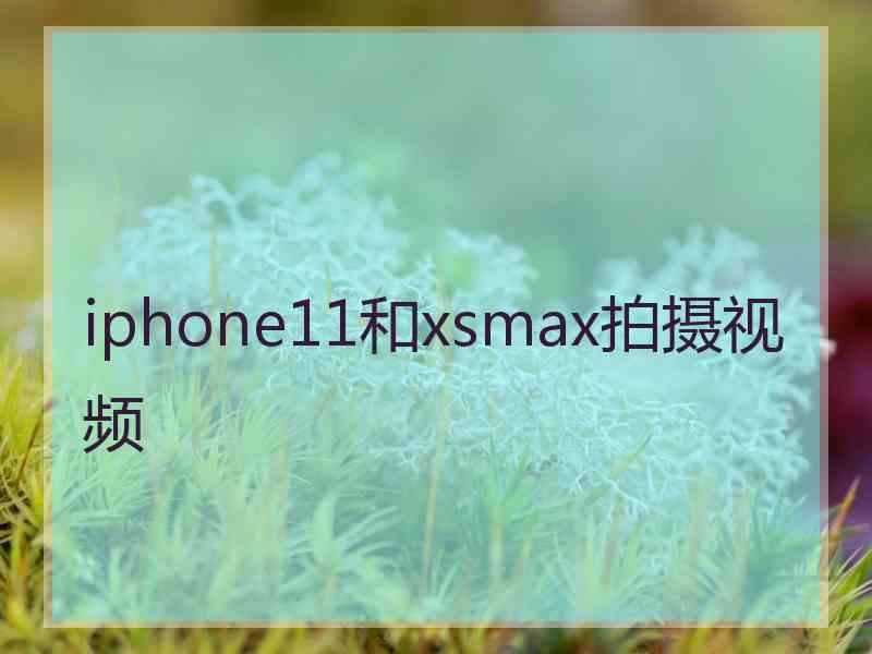 iphone11和xsmax拍摄视频