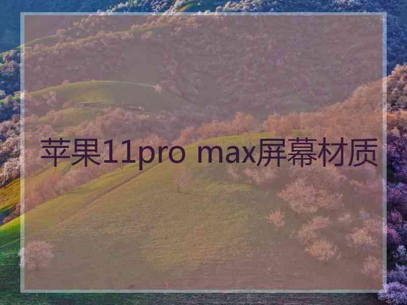 苹果11pro max屏幕材质