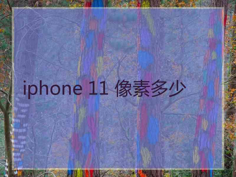 iphone 11 像素多少