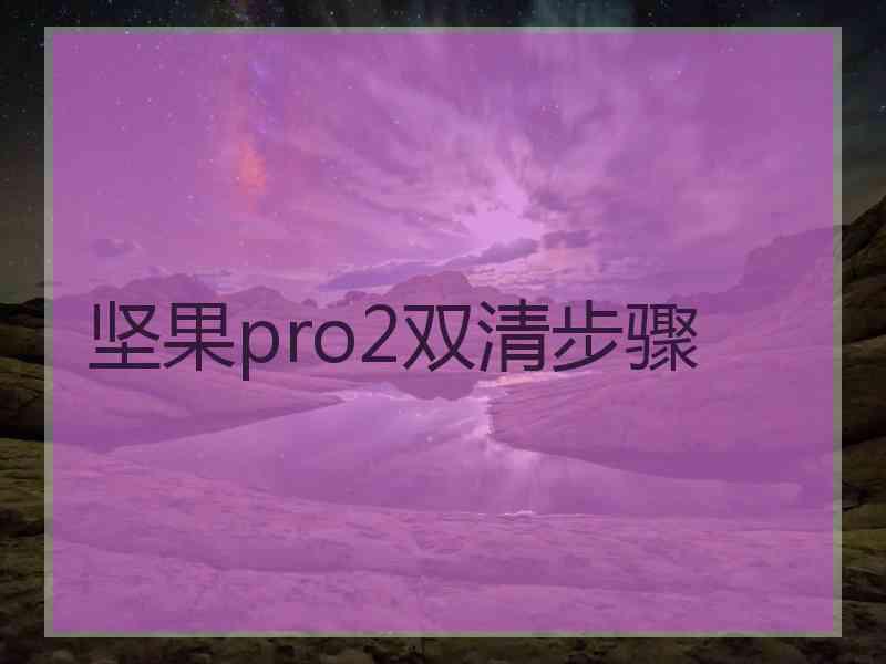 坚果pro2双清步骤