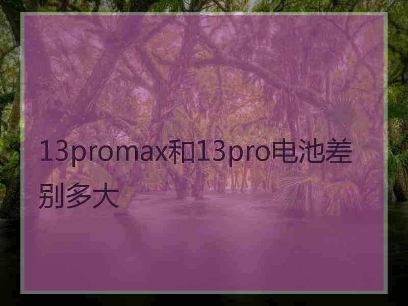 13promax和13pro电池差别多大