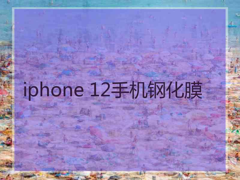 iphone 12手机钢化膜