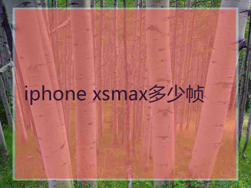 iphone xsmax多少帧