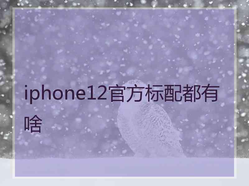 iphone12官方标配都有啥