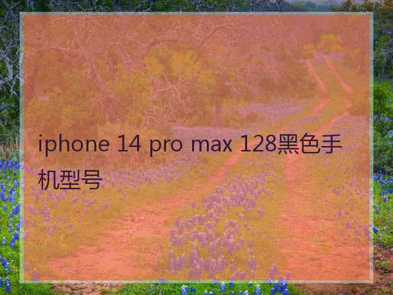 iphone 14 pro max 128黑色手机型号