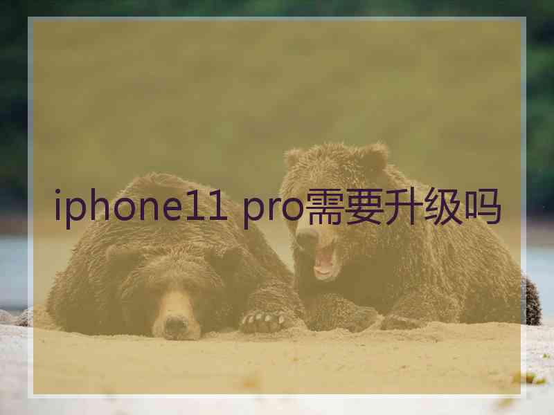 iphone11 pro需要升级吗