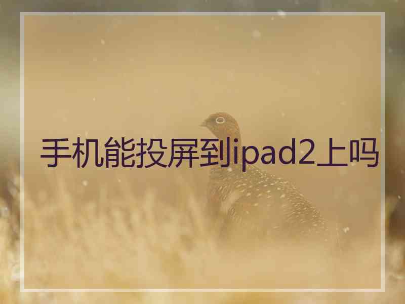 手机能投屏到ipad2上吗